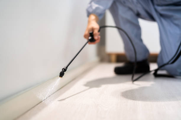 Licensed Ant Control service in Lake Holiday, VA - Show Me Pest Control